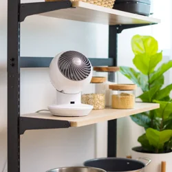 Woozoo Globe Fan with Remote PCF-SC12