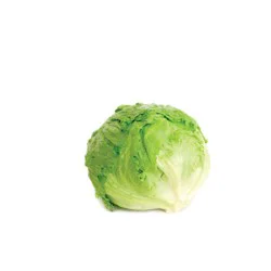 Foxy Organic Iceberg Lettuce
