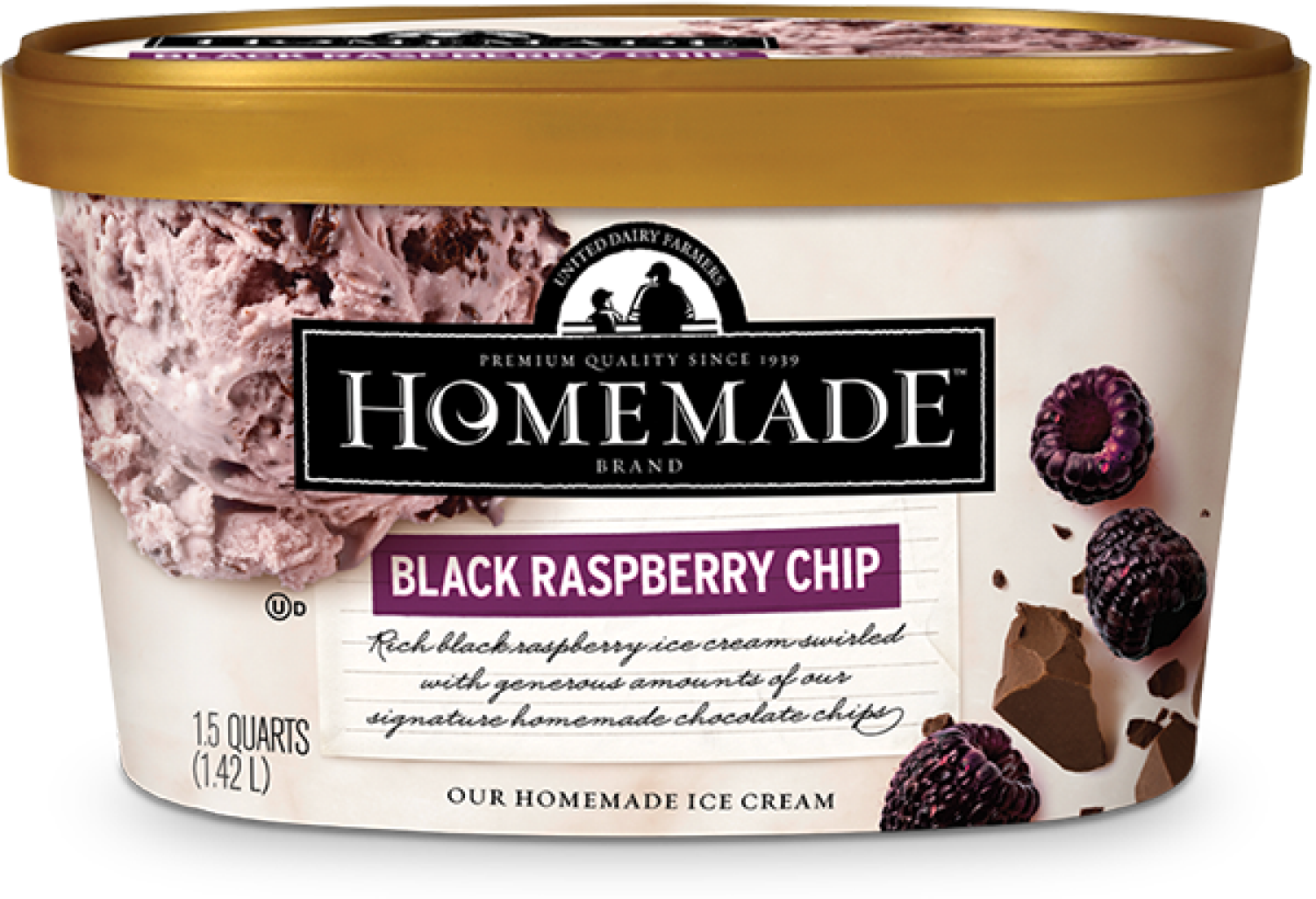 slide 1 of 1, United Dairy Homemade Brand Black Raspberry Chip Ice Cream, 48 oz