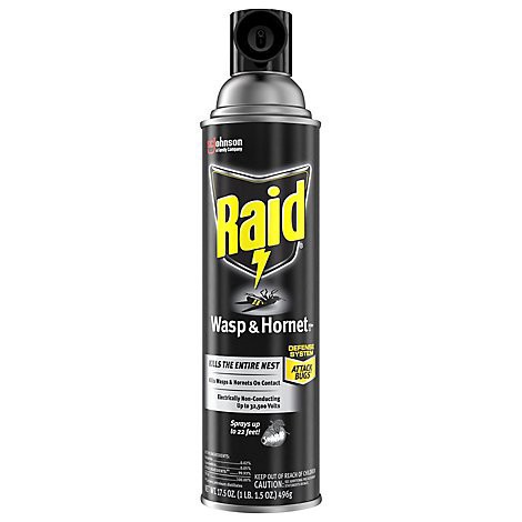 slide 1 of 1, Raid Wasp & Hornet Killer Insecticide Aerosol Spray - 17.5 Oz, 17.5 oz