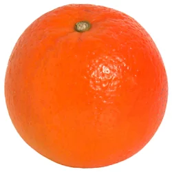 Large Navel Orange