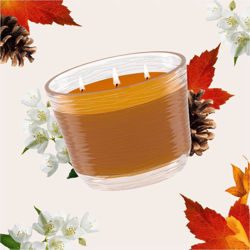slide 2 of 15, Glade 3 Wick Scented Candle in Glass Jar - Cashmere Woods - 6.8oz, 6.8 oz