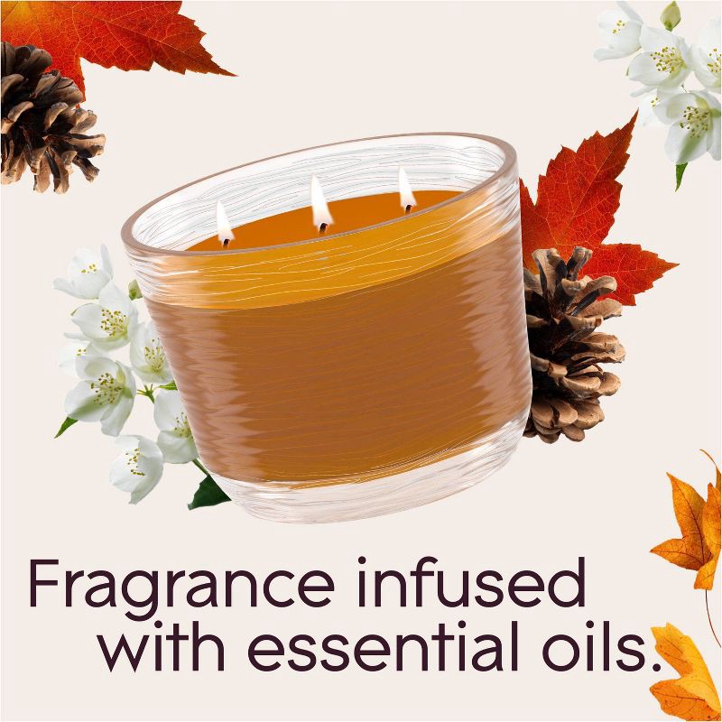 slide 5 of 15, Glade 3 Wick Scented Candle in Glass Jar - Cashmere Woods - 6.8oz, 6.8 oz