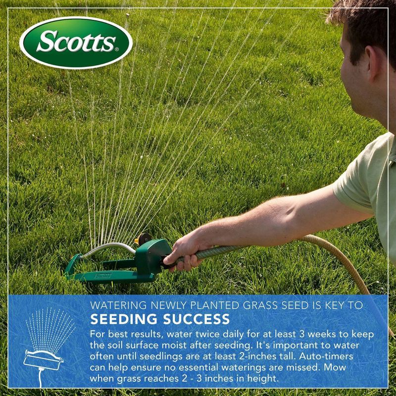 slide 6 of 11, Scotts 3-in-1 Thick'R Lawn Sun & Shade Soil: Soil Improver, Seed, Fertilizer, 50% Thicker Lawn, 1 ct
