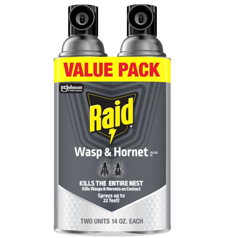 slide 1 of 12, Raid Wasp and Hornet Spray - 2ct/14oz each, 2 ct; 14 oz