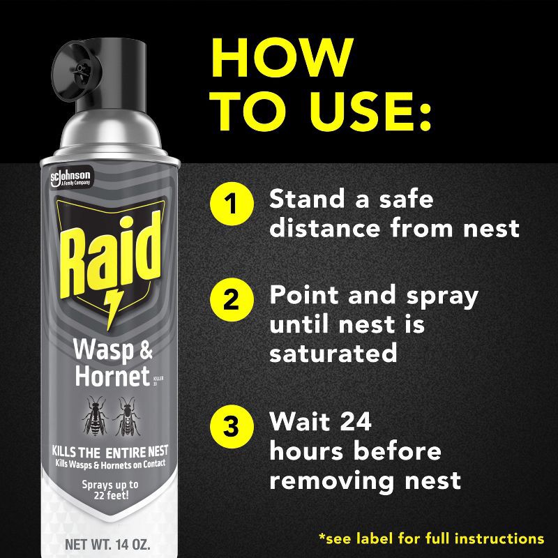 slide 4 of 12, Raid Wasp and Hornet Spray - 2ct/14oz each, 2 ct; 14 oz