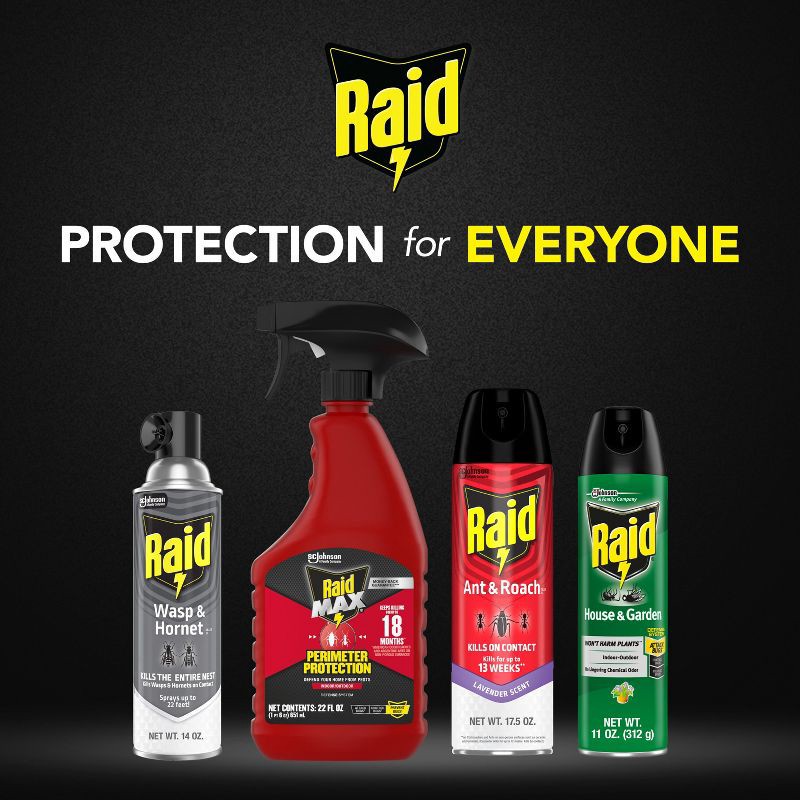 slide 8 of 12, Raid Wasp and Hornet Spray - 2ct/14oz each, 2 ct; 14 oz