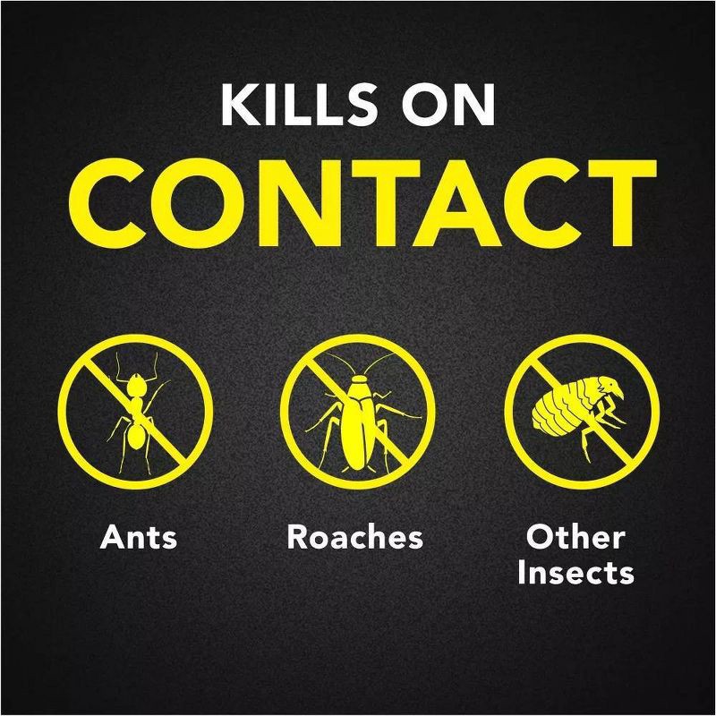 slide 2 of 13, Raid Ant & Roach Killer - 20 oz/Twin Pack, 20 oz