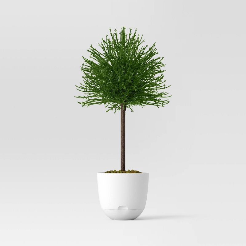 slide 3 of 4, Self-Watering Plastic Indoor Outdoor Planter Pot White 16"x16" - Room Essentials™, 1 ct