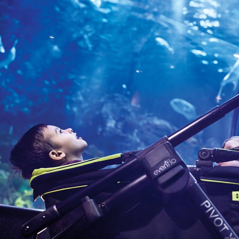 slide 18 of 25, Evenflo Pivot Xplore All-Terrain Double Stroller Wagon - Adventurer Gray, 1 ct