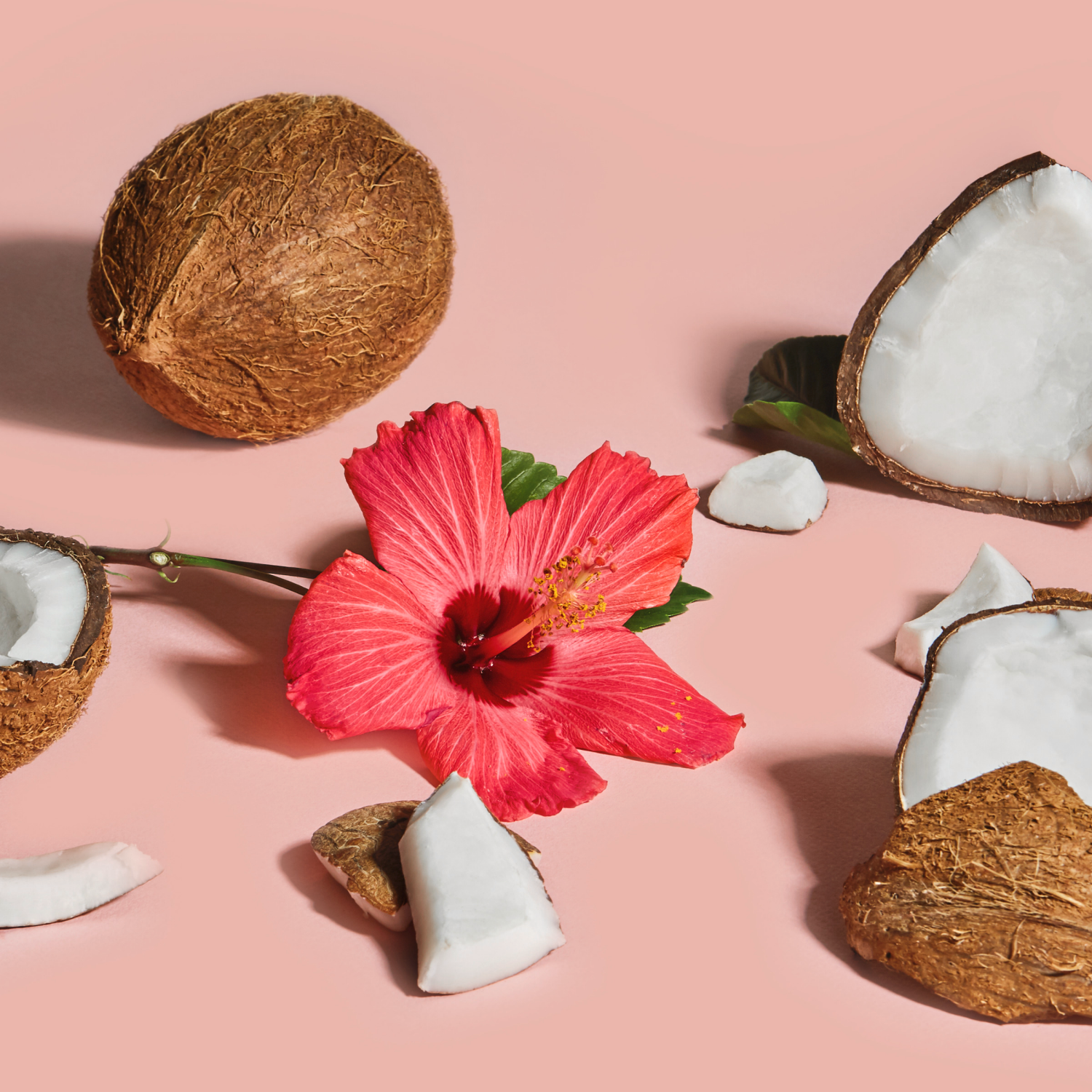 slide 4 of 6, SheaMoisture Hold & Shine Coconut & Hibiscus Moisture Mist 8 oz, 8 oz