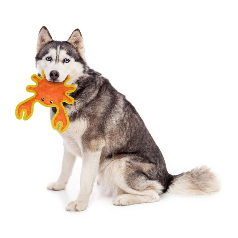 slide 4 of 5, DuraForce Crab Dog Toy - Orange, 1 ct