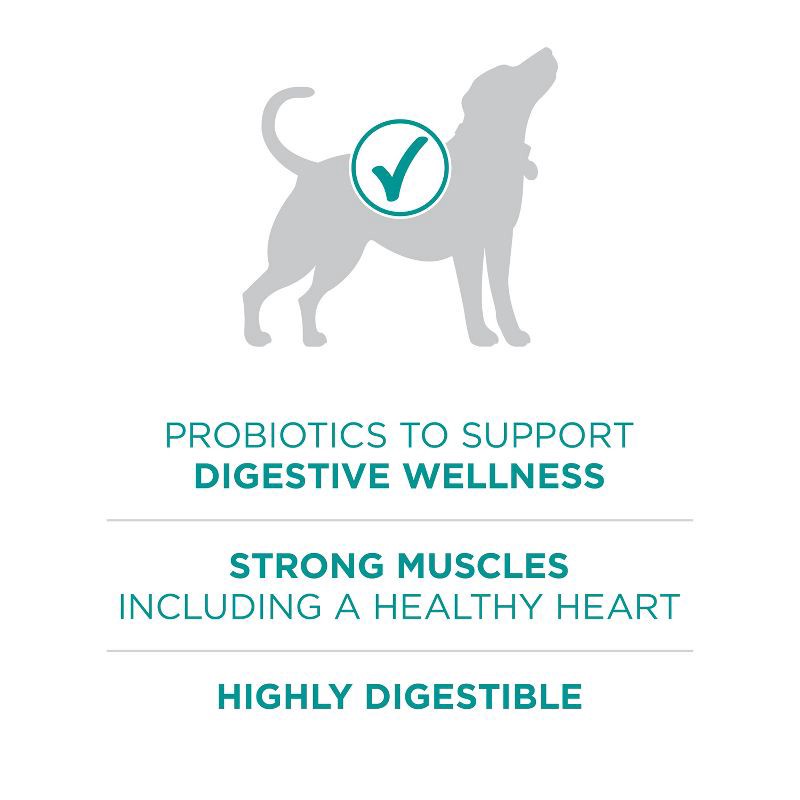slide 6 of 6, Purina ONE SmartBlend Natural Digestive & Probiotic Health Rice and Chicken Flavor Dry Dog Food - 16.5lbs, 16.5 lb