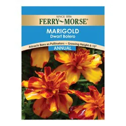 Ferry Morse Dwarf Bolero Marigold Seed Packet