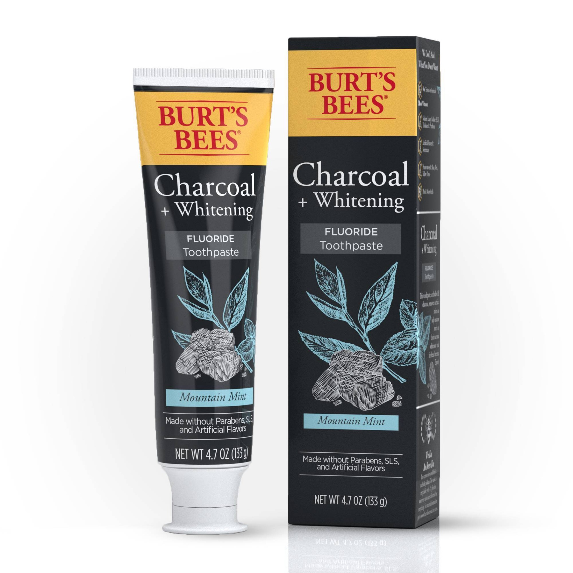 slide 1 of 9, Burt's Bees Charcoal Natural Toothpaste with Fluoride Peppermint - 4.7oz, 4.7 oz