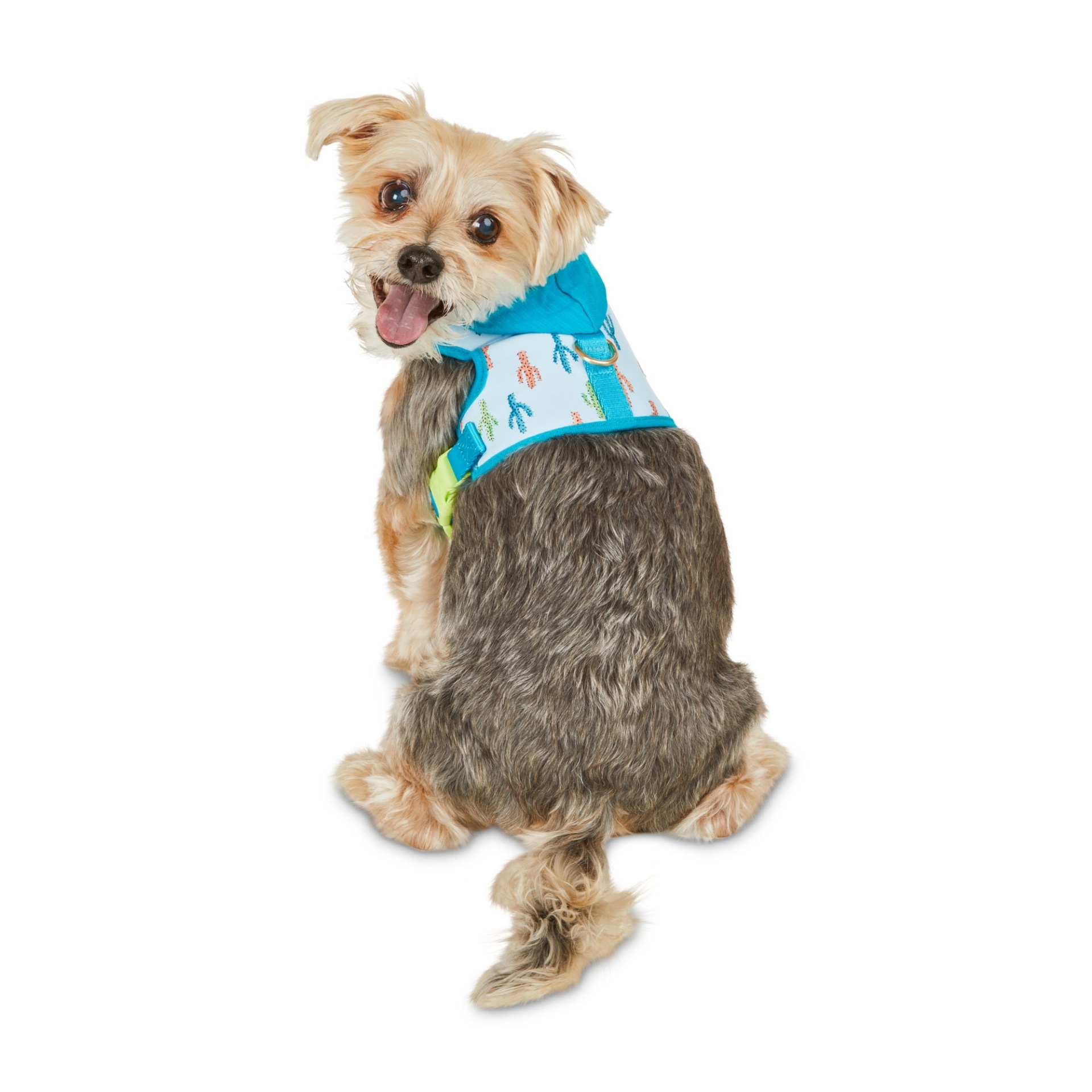 slide 1 of 1, Bond & Co. Blue Desert Cactus Hooded Dog Harness, MED