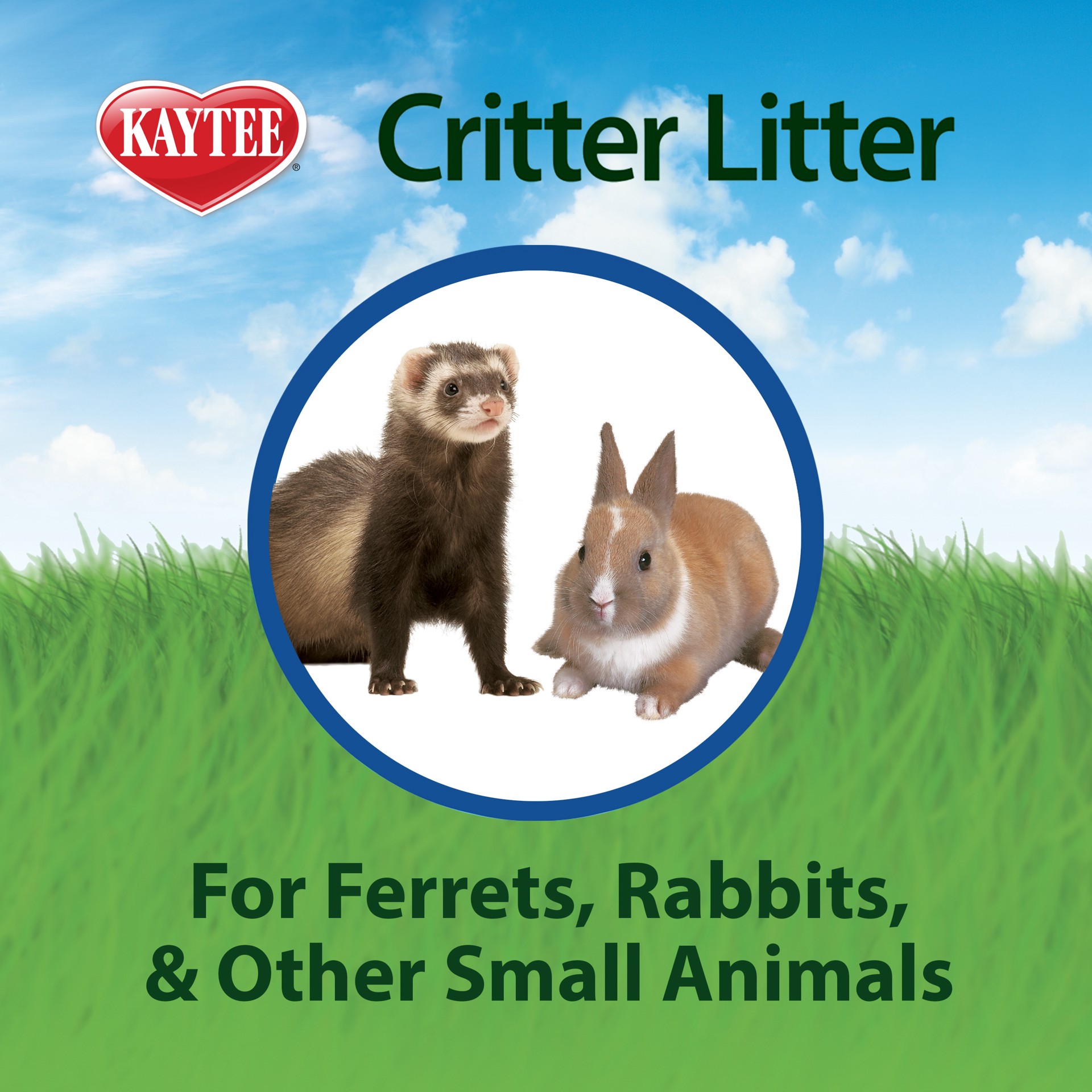 slide 3 of 7, Kaytee Hard Goods Kaytee Critter Litter Small Animal Premium Potty Training Litter, 4 Pound, 4 lb