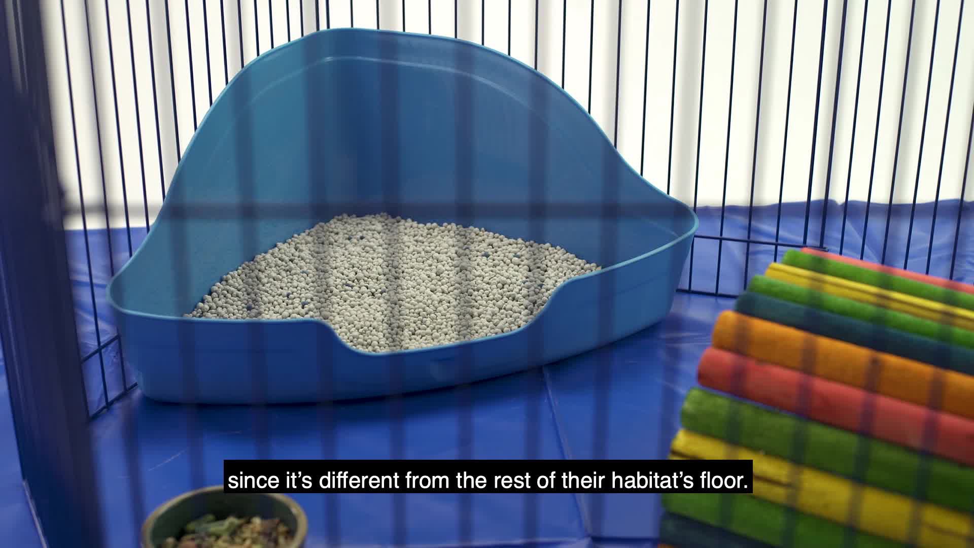 slide 5 of 7, Kaytee Hard Goods Kaytee Critter Litter Small Animal Premium Potty Training Litter, 4 Pound, 4 lb