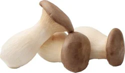 Organic King Oyster Mushrooms
