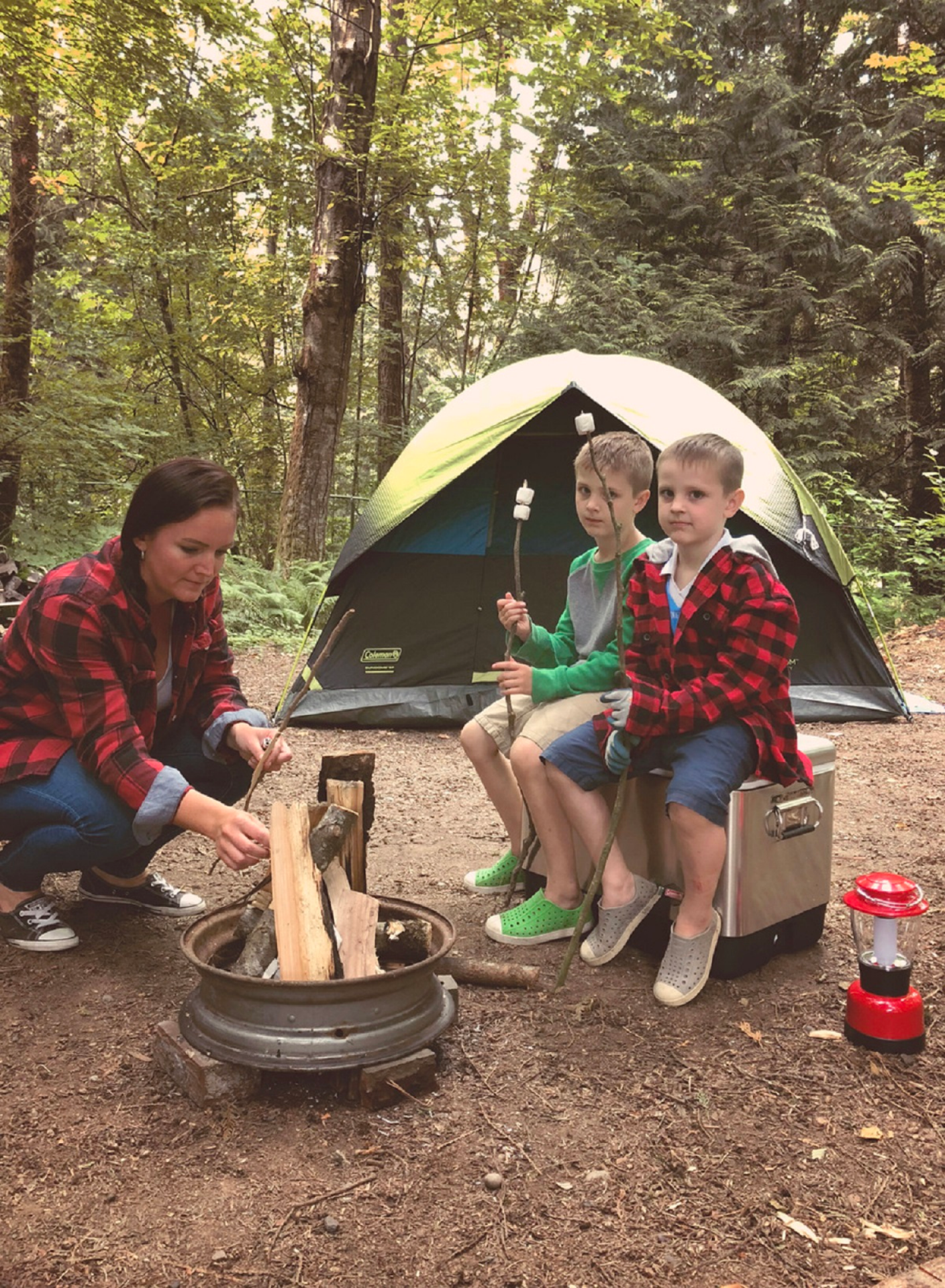 slide 3 of 4, Coleman Cole Lantern-4D Classic, 1 ct