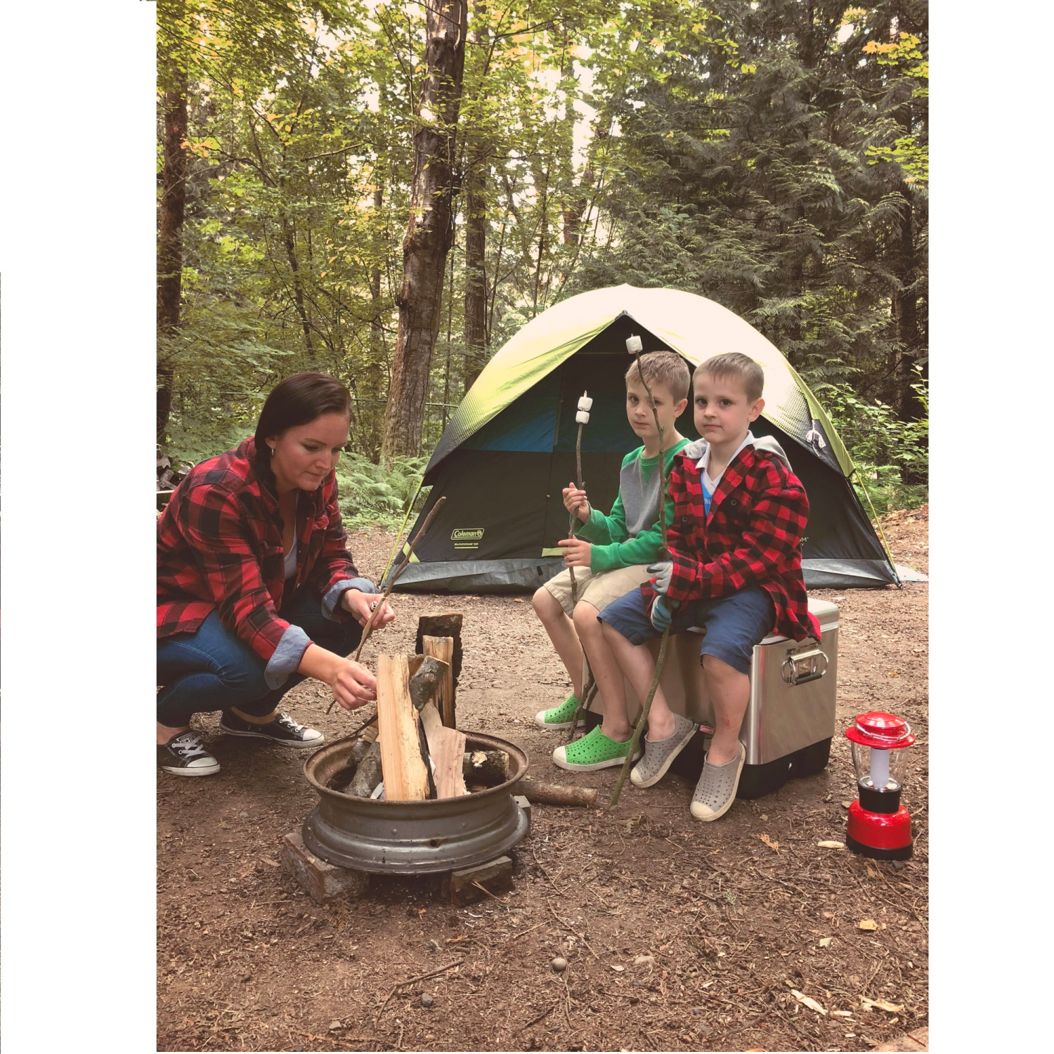 slide 2 of 4, Coleman Cole Lantern-4D Classic, 1 ct