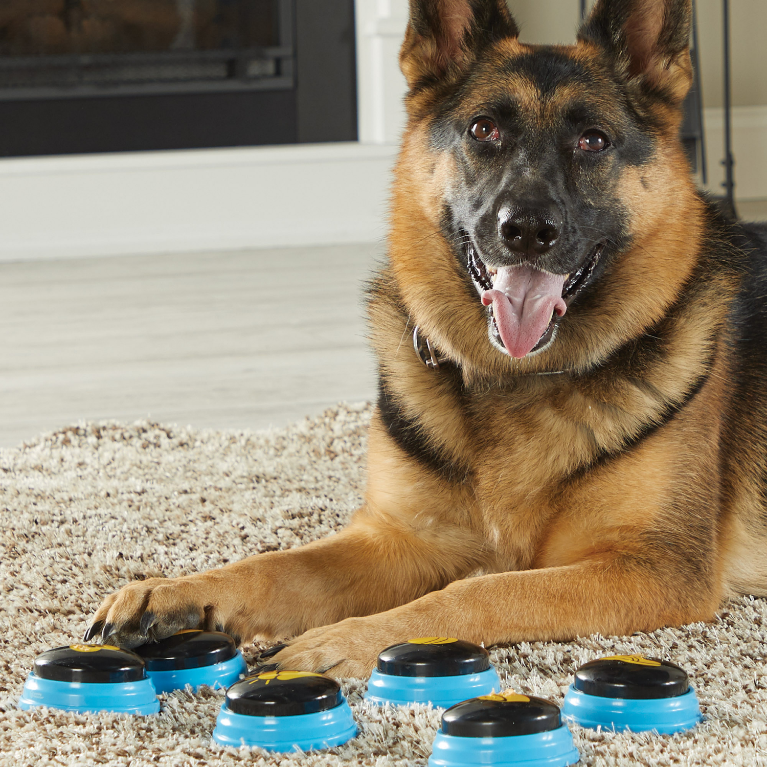 slide 4 of 4, Hunger For Words Talking Pet Essential Words, 1 ct