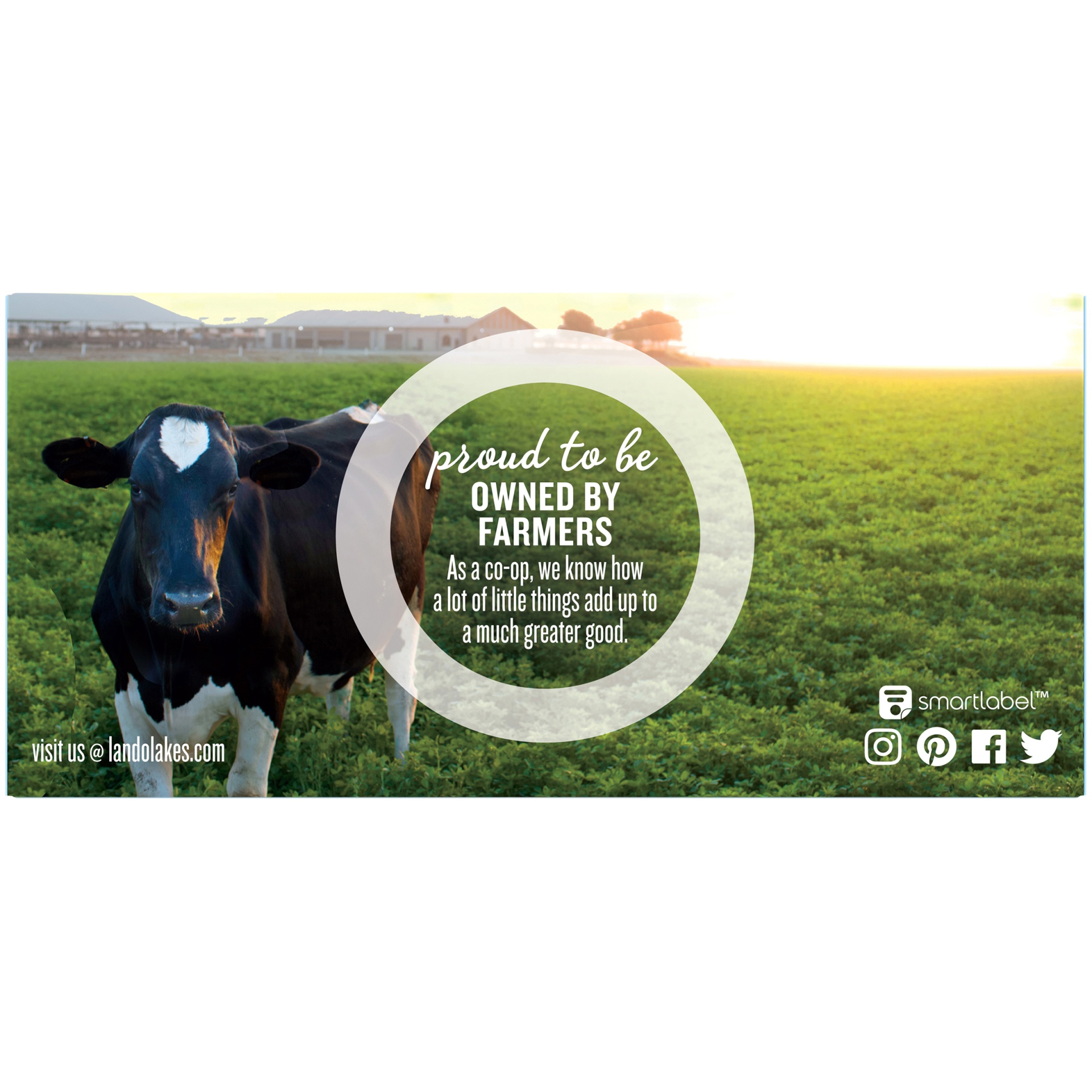 slide 5 of 6, Land O'Lakes Unsalted Butter, 4 sticks, 1 lb Pack, 1 lb