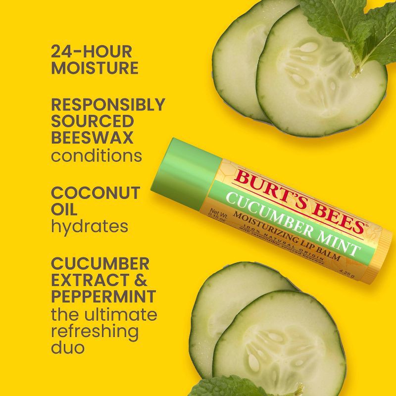 slide 3 of 10, Burt's Bees Natural Origin Freshly Picked Lip Balm - 4pk, 4 ct