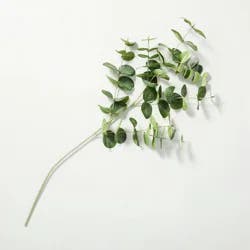 Hearth & Hand with Magnolia 28" Faux Silver Dollar Eucalyptus Stem - Hearth & Hand™ with Magnolia: Indoor Artificial Greenery for Vases