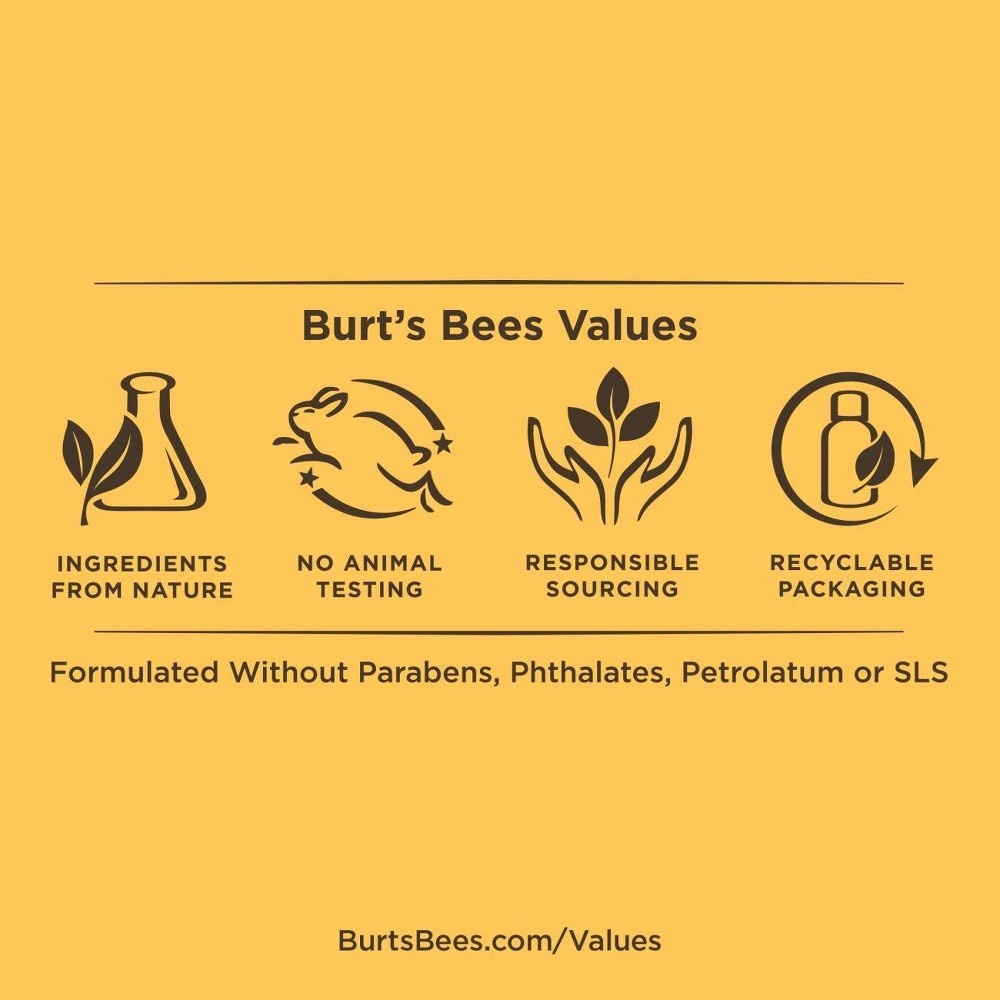 slide 2 of 5, Burt's Bees Men's Care Beard Balm, 3 oz