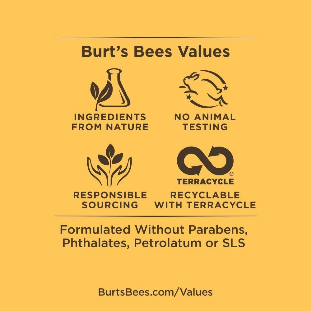 slide 5 of 5, Burt's Bees Men's Care Face Wash, 5 fl oz