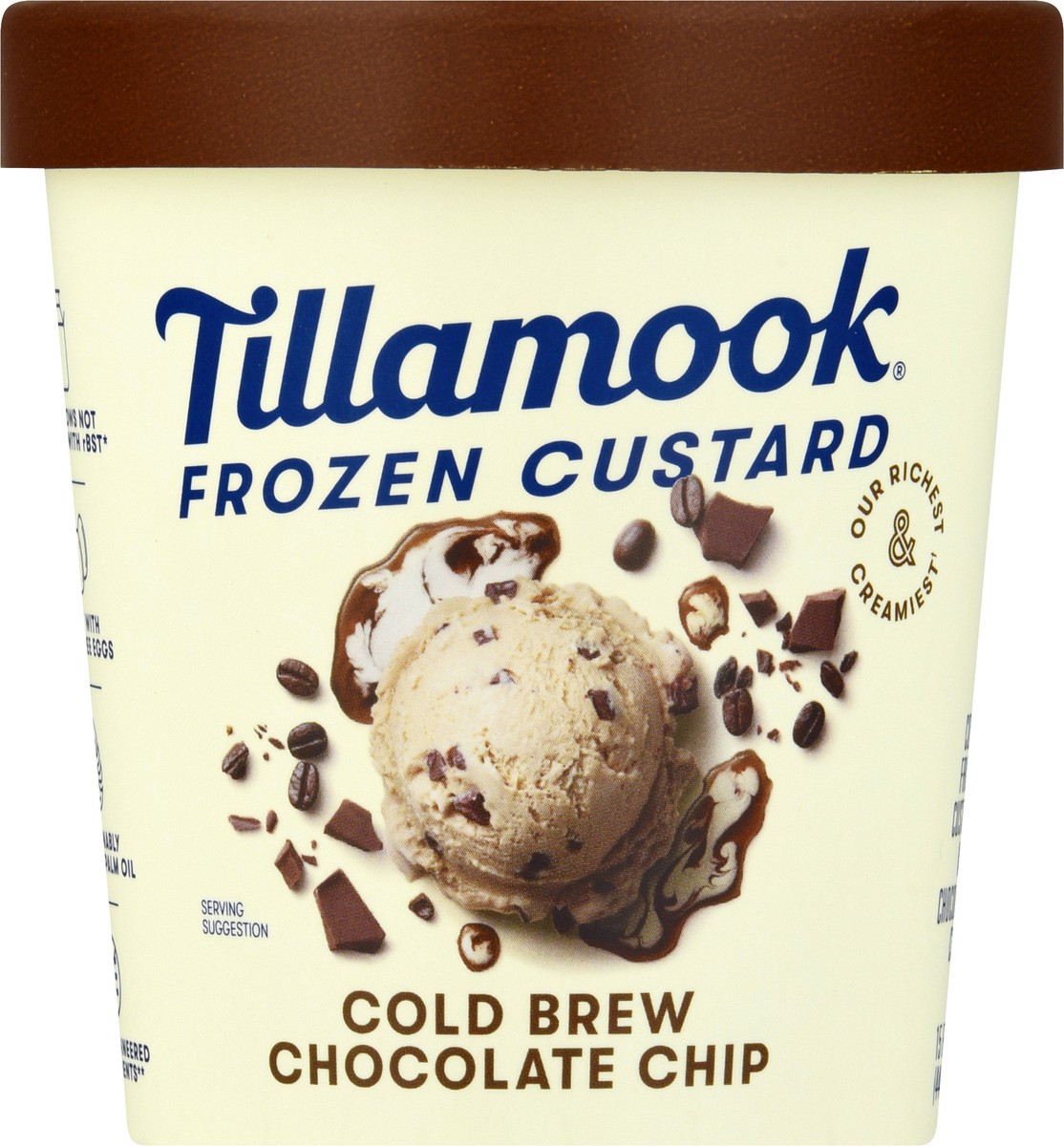 slide 3 of 13, Tillamook Cold Brew Chocolate Chip Frozen Custard Dessert, 15fl-oz, 15.0 oz