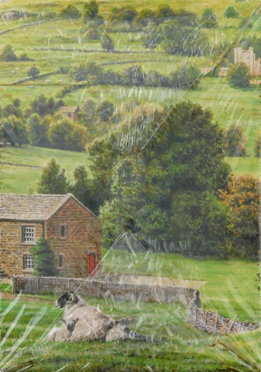 slide 10 of 12, Taylors of Harrogate Yorkshire Tea 80 Tea Bags, 80 ct