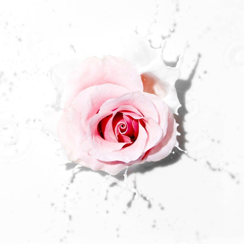 slide 9 of 9, Pantene Pro-V Miracle Moisture Boost with Rose Water Conditioner 8 oz, 8 oz
