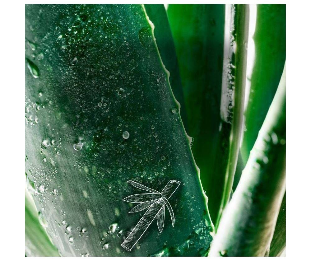 slide 4 of 4, Herbal Essences bio:renew Bamboo + Potent Aloe Conditioner for Strength, 13.5 fl oz