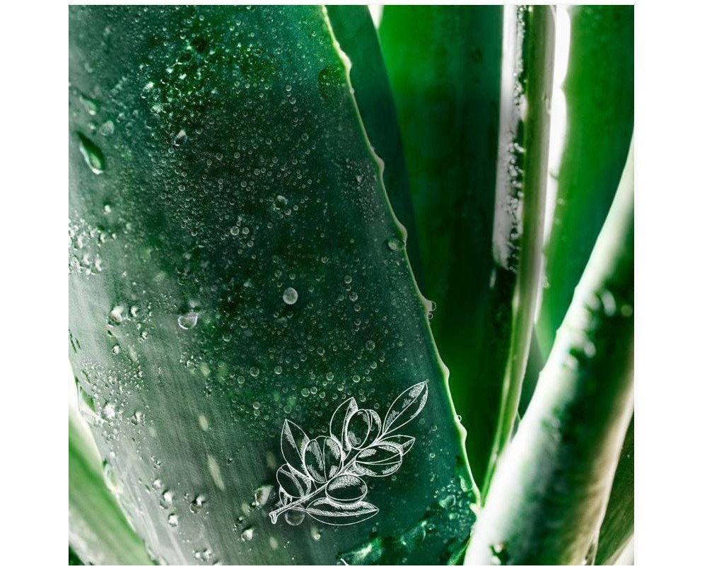 slide 3 of 8, Herbal Essences Frizz Control Sulfate Free Potent Aloe + Hemp Shampooing 400.0 ml, 13.5 fl oz