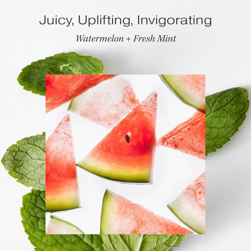 slide 4 of 9, Raw Sugar Moisture Loving Body Wash - Watermelon and Fresh Mint - 40 fl oz, 40 fl oz