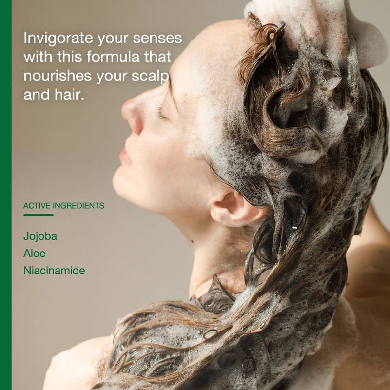 slide 3 of 7, Raw Sugar The Scalp Restore Conditioner - Jojoba + Aloe + Niacinamide - 18 fl oz, 18 fl oz