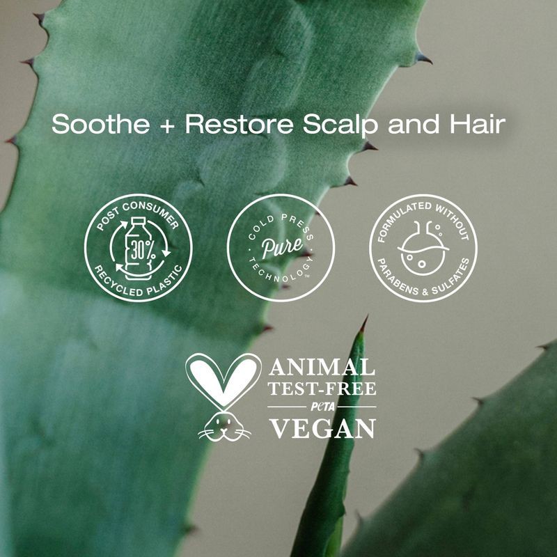 slide 4 of 7, Raw Sugar The Scalp Restore Conditioner - Jojoba + Aloe + Niacinamide - 18 fl oz, 18 fl oz
