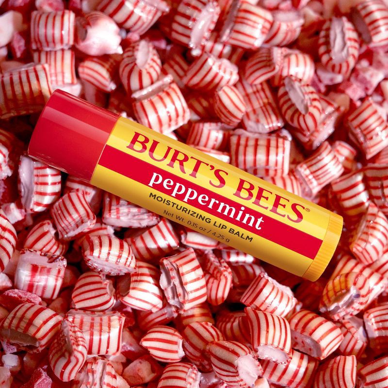 slide 7 of 9, Burt's Bees Holiday Limited Edition Stocking Stuffer Moisturizing Lip Balm - Peppermint - 0.15oz, 0.15 oz