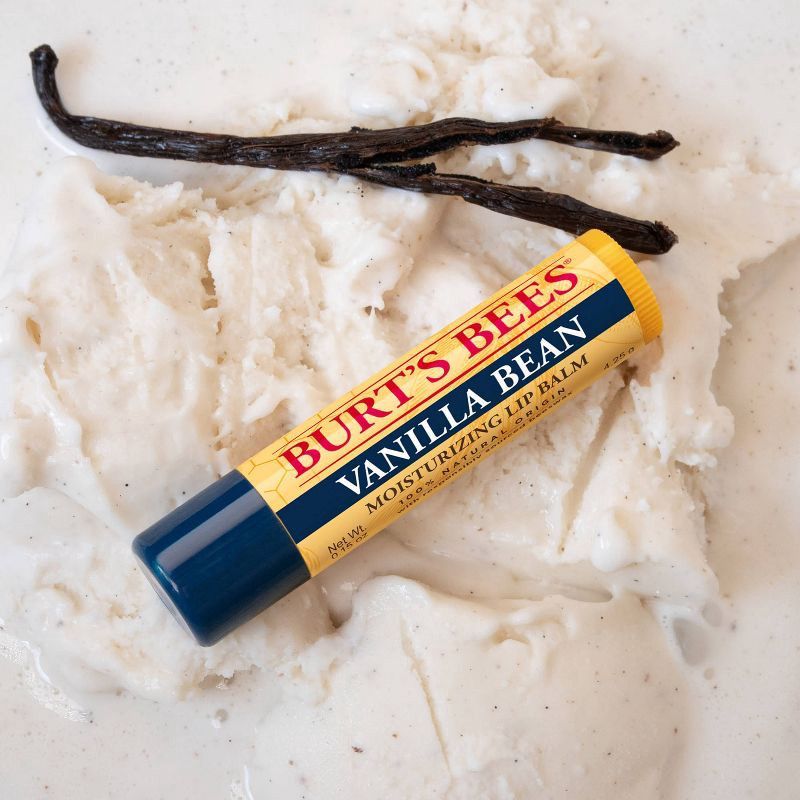 slide 7 of 10, Burt's Bees Holiday Limited Edition Stocking Stuffer Moisturizing Lip Balm - Vanilla Bean - 0.15oz, 0.15 oz