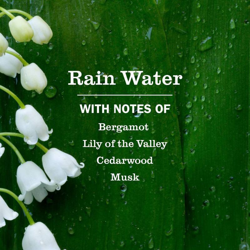 slide 3 of 9, Mrs. Meyer's Clean Day Liquid Hand Soap Refill - Rain Water - 33 fl oz, 33 fl oz