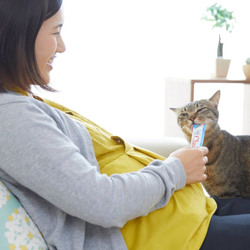 slide 4 of 4, Inaba Churu Chicken Flavor Lickable Cat Treats - 2oz/4ct, 4 ct; 2 oz