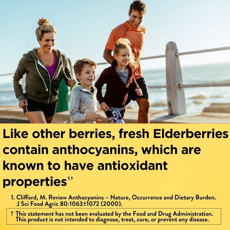 slide 5 of 10, Nature Made Elderberry with Vitamin C and Zinc for Immune Support Gummies - Raspberry Flavor - 60ct, 60 ct