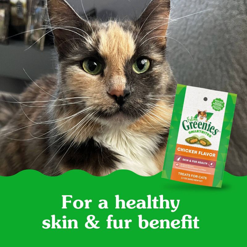 slide 9 of 13, Greenies Smartbites Skin and Fur Health Chicken Flavor Cat Treats - 2.1oz, 2.1 oz