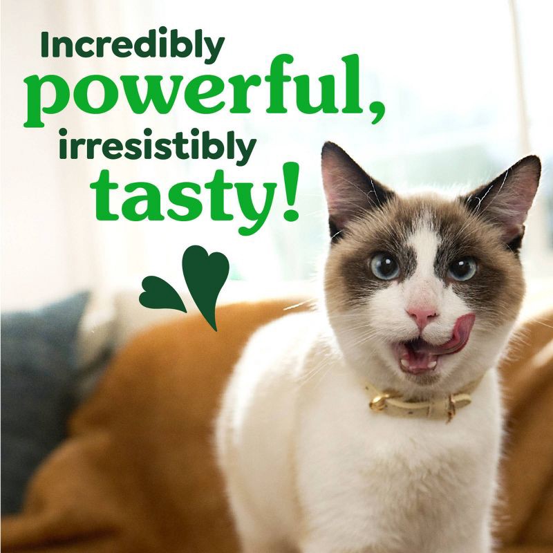 slide 9 of 14, Greenies Dental Cat Treats Oven-Roasted Chicken - 4.6oz, 4.6 oz