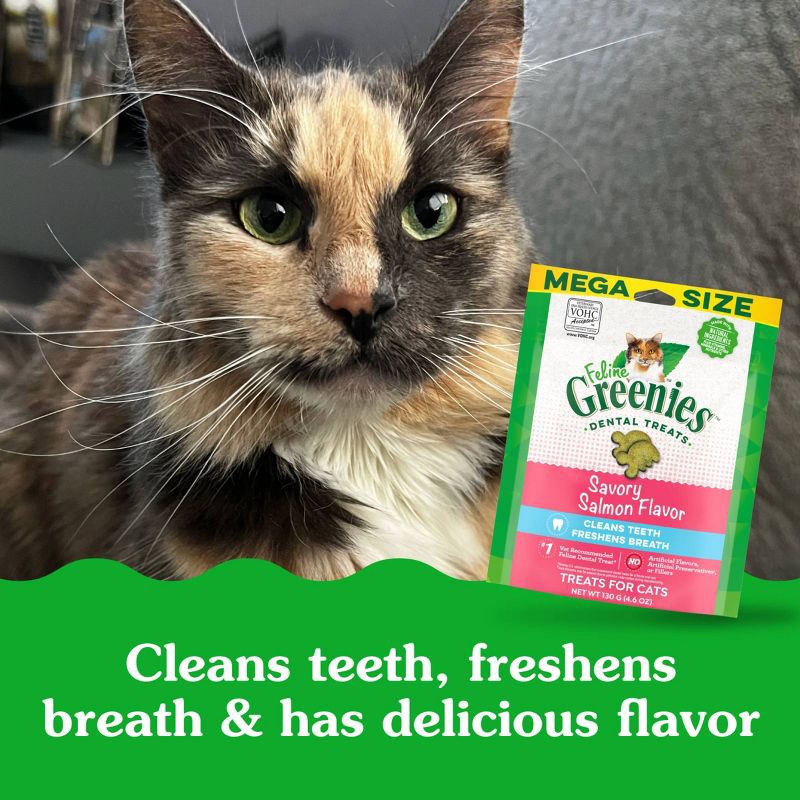 slide 10 of 13, Greenies Savory Salmon Flavor Dental Cat Treats - 4.6oz, 4.6 oz