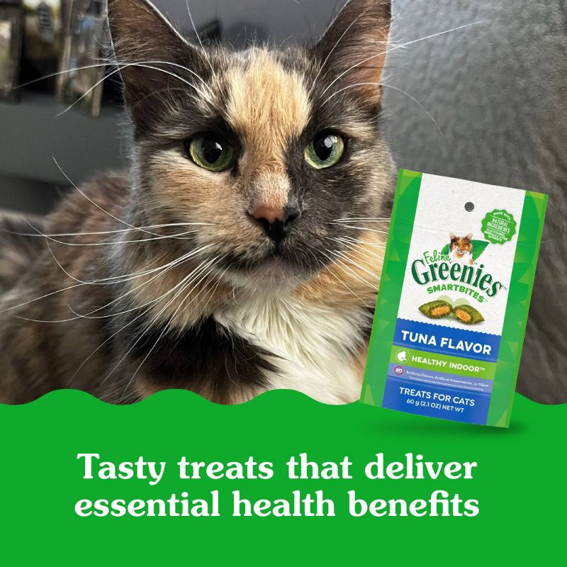 slide 11 of 13, Greenies Smartbites Healthy Tuna Flavor Indoor Cat Treats - 2.1oz, 2.1 oz