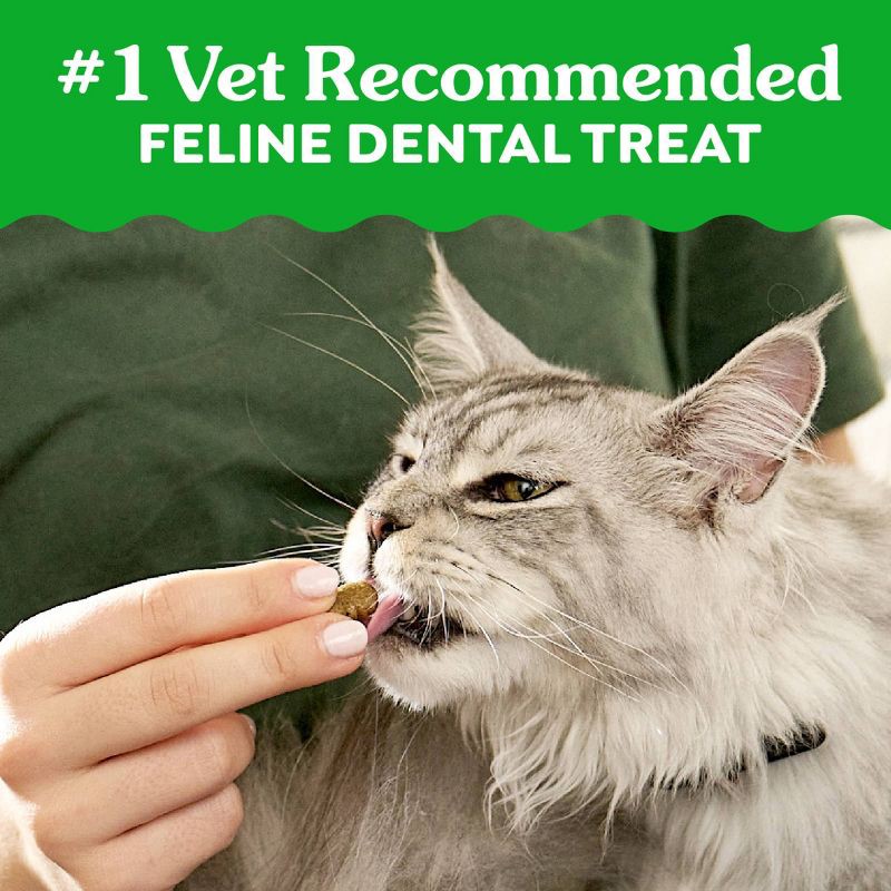 slide 3 of 13, Greenies Savory Salmon Flavor Dental Cat Treats - 9.75oz, 9.75 oz