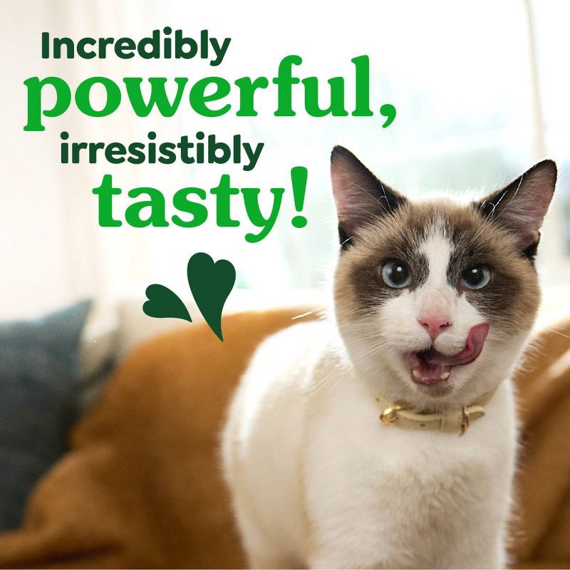 slide 7 of 13, Greenies Dental Cat Treats Oven-Roasted Chicken - 9.75 oz, 9.75 oz